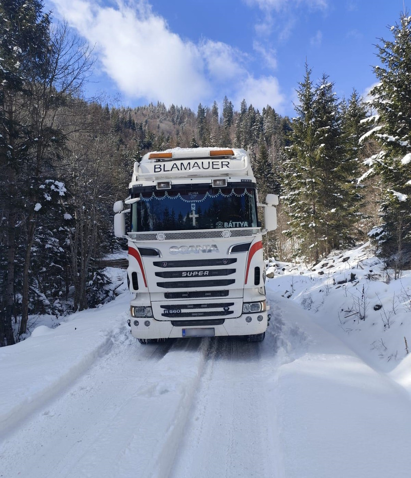 SCANIA R560 V8 - Caminhão florestal, Caminhão grua: foto 4 SCANIA R560 V8 - Caminhão florestal, Caminhão grua: foto 4