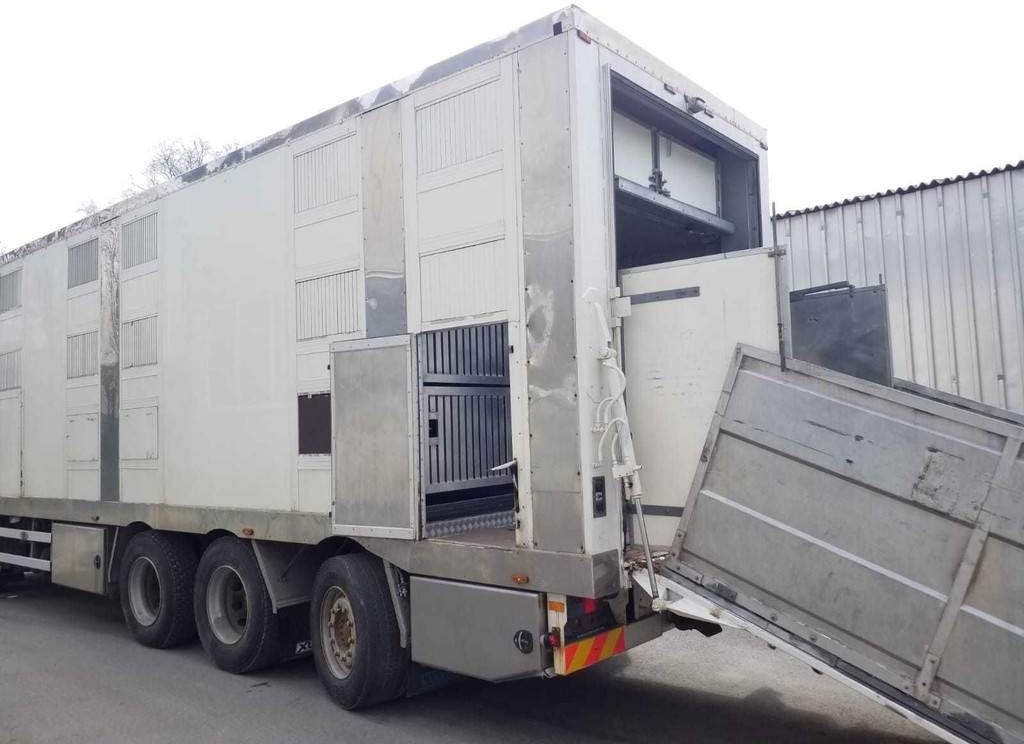 MAN TGX 35.540 8X4 TRIDEM ANIMAL - Caminhão transporte de gado: foto 5 MAN TGX 35.540 8X4 TRIDEM ANIMAL - Caminhão transporte de gado: foto 5