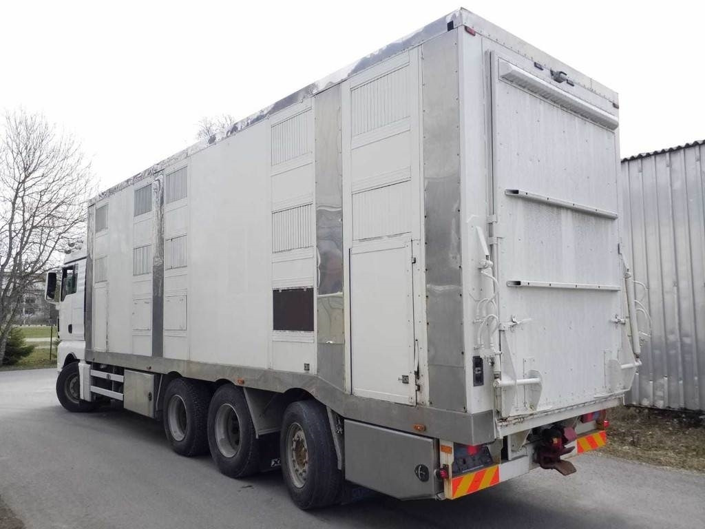 MAN TGX 35.540 8X4 TRIDEM ANIMAL - Caminhão transporte de gado: foto 2 MAN TGX 35.540 8X4 TRIDEM ANIMAL - Caminhão transporte de gado: foto 2