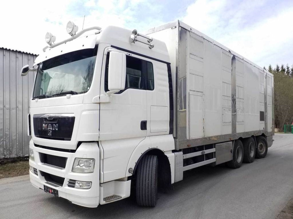 MAN TGX 35.540 8X4 TRIDEM ANIMAL - Caminhão transporte de gado: foto 1 MAN TGX 35.540 8X4 TRIDEM ANIMAL - Caminhão transporte de gado: foto 1