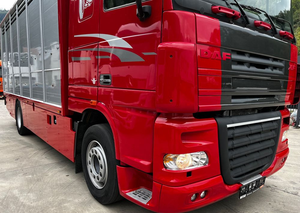 DAF XF 105.460 Euro 5 // Manual // Retarder // Do Żywca / Bydła / Zwierząt / - Caminhão transporte de gado: foto 3 DAF XF 105.460 Euro 5 // Manual // Retarder // Do Żywca / Bydła / Zwierząt / - Caminhão transporte de gado: foto 3