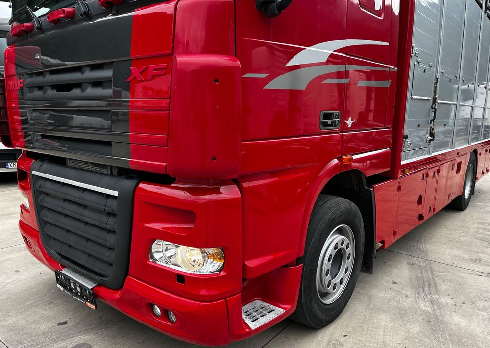 DAF XF 105.460 Euro 5 // Manual // Retarder // Do Żywca / Bydła / Zwierząt / - Caminhão transporte de gado: foto 4 DAF XF 105.460 Euro 5 // Manual // Retarder // Do Żywca / Bydła / Zwierząt / - Caminhão transporte de gado: foto 4