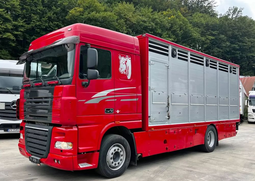 DAF XF 105.460 Euro 5 // Manual // Retarder // Do Żywca / Bydła / Zwierząt / - Caminhão transporte de gado: foto 1 DAF XF 105.460 Euro 5 // Manual // Retarder // Do Żywca / Bydła / Zwierząt / - Caminhão transporte de gado: foto 1