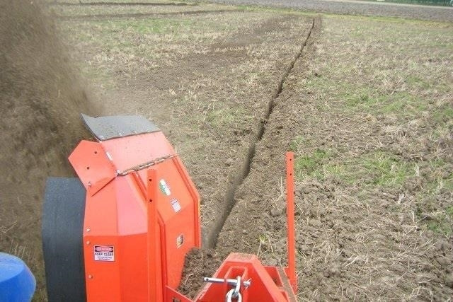 - - - BOXER D02 - Cultivador: foto 4 - - - BOXER D02 - Cultivador: foto 4