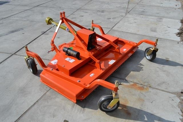 - - - boxer  - Gadanheira: foto 5 - - - boxer  - Gadanheira: foto 5