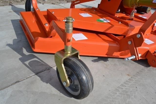 - - - boxer  - Gadanheira: foto 2 - - - boxer  - Gadanheira: foto 2