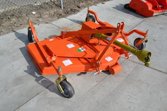 - - - boxer  - Gadanheira: foto 1 - - - boxer  - Gadanheira: foto 1