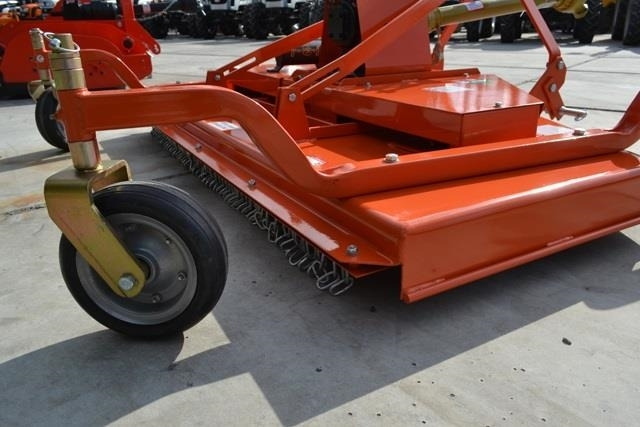 - - - boxer  - Gadanheira: foto 4 - - - boxer  - Gadanheira: foto 4