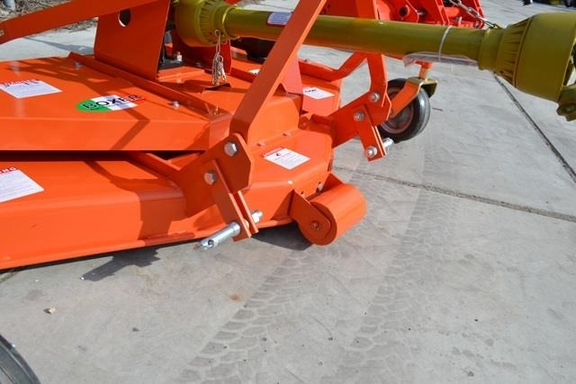 - - - boxer  - Gadanheira: foto 3 - - - boxer  - Gadanheira: foto 3