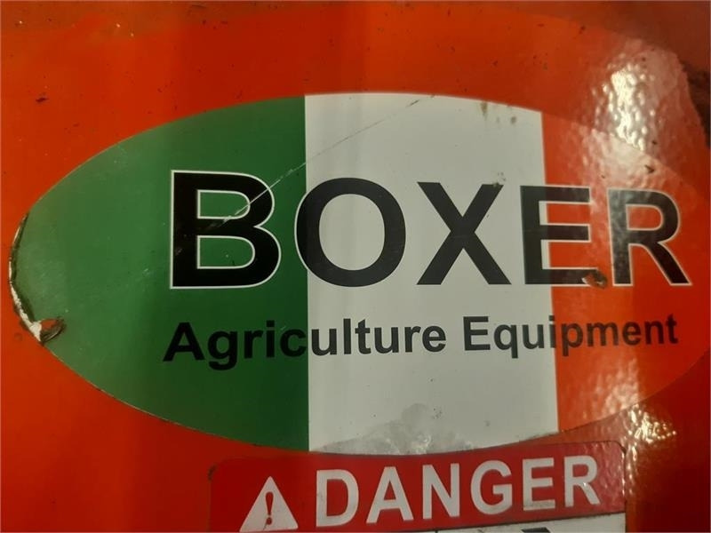 - - - boxer - Gadanheira: foto 3 - - - boxer - Gadanheira: foto 3