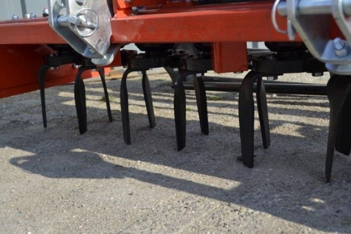 - - - boxer - Grade: foto 4 - - - boxer - Grade: foto 4