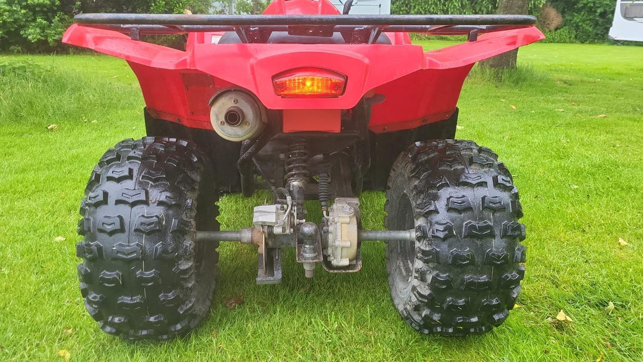 Yamaha Grizzly 300 - Quadriciclo: foto 5 Yamaha Grizzly 300 - Quadriciclo: foto 5