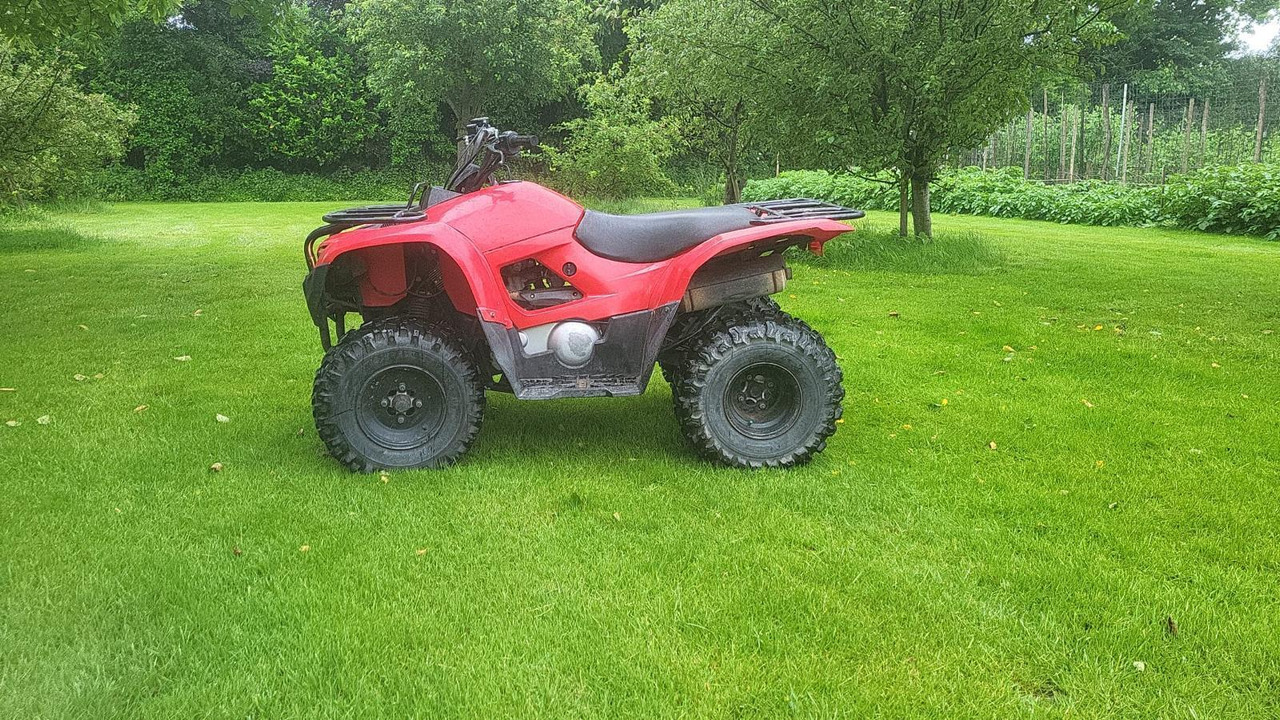 Yamaha Grizzly 300 - Quadriciclo: foto 2 Yamaha Grizzly 300 - Quadriciclo: foto 2