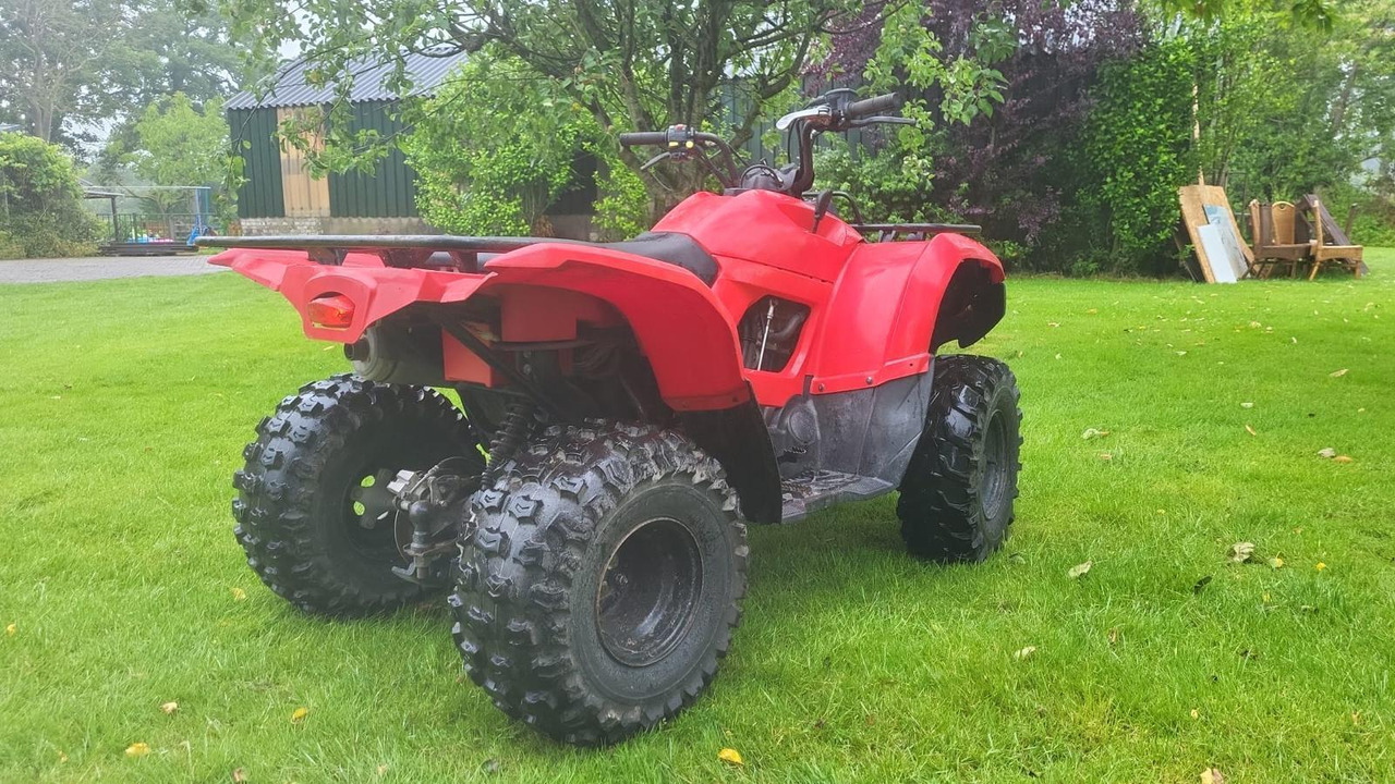Yamaha Grizzly 300 - Quadriciclo: foto 4 Yamaha Grizzly 300 - Quadriciclo: foto 4