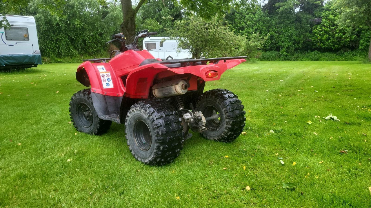Yamaha Grizzly 300 - Quadriciclo: foto 3 Yamaha Grizzly 300 - Quadriciclo: foto 3