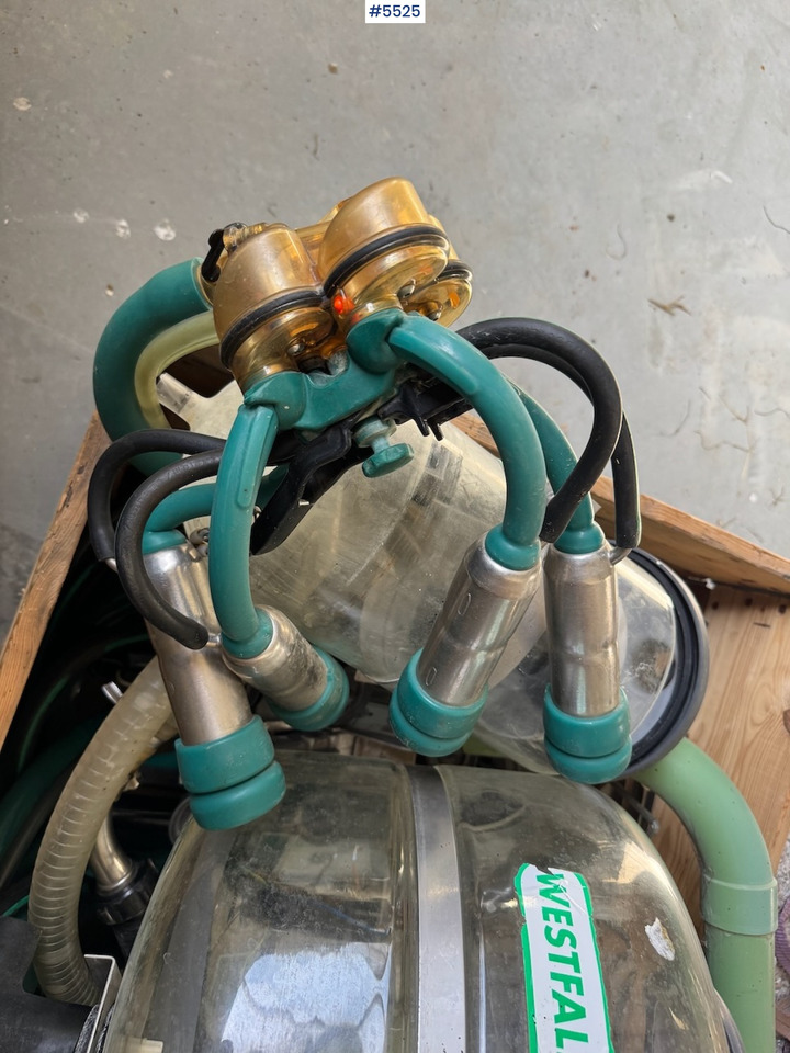 Westfalia Melkeanlegg - Equipamento para ordenha: foto 4 Westfalia Melkeanlegg - Equipamento para ordenha: foto 4