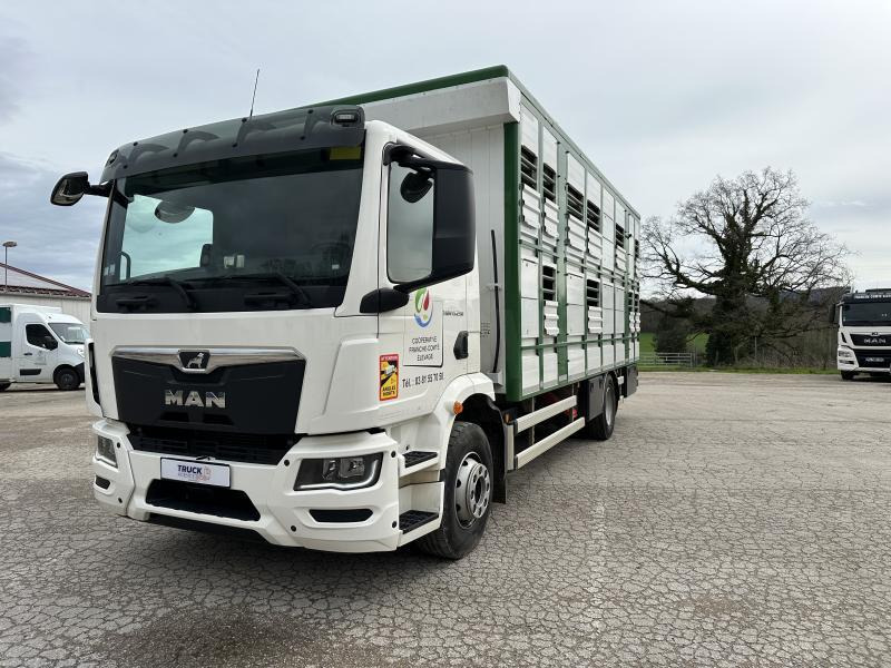 MAN M 90 15.290 TGM - Caminhão transporte de gado: foto 1 MAN M 90 15.290 TGM - Caminhão transporte de gado: foto 1