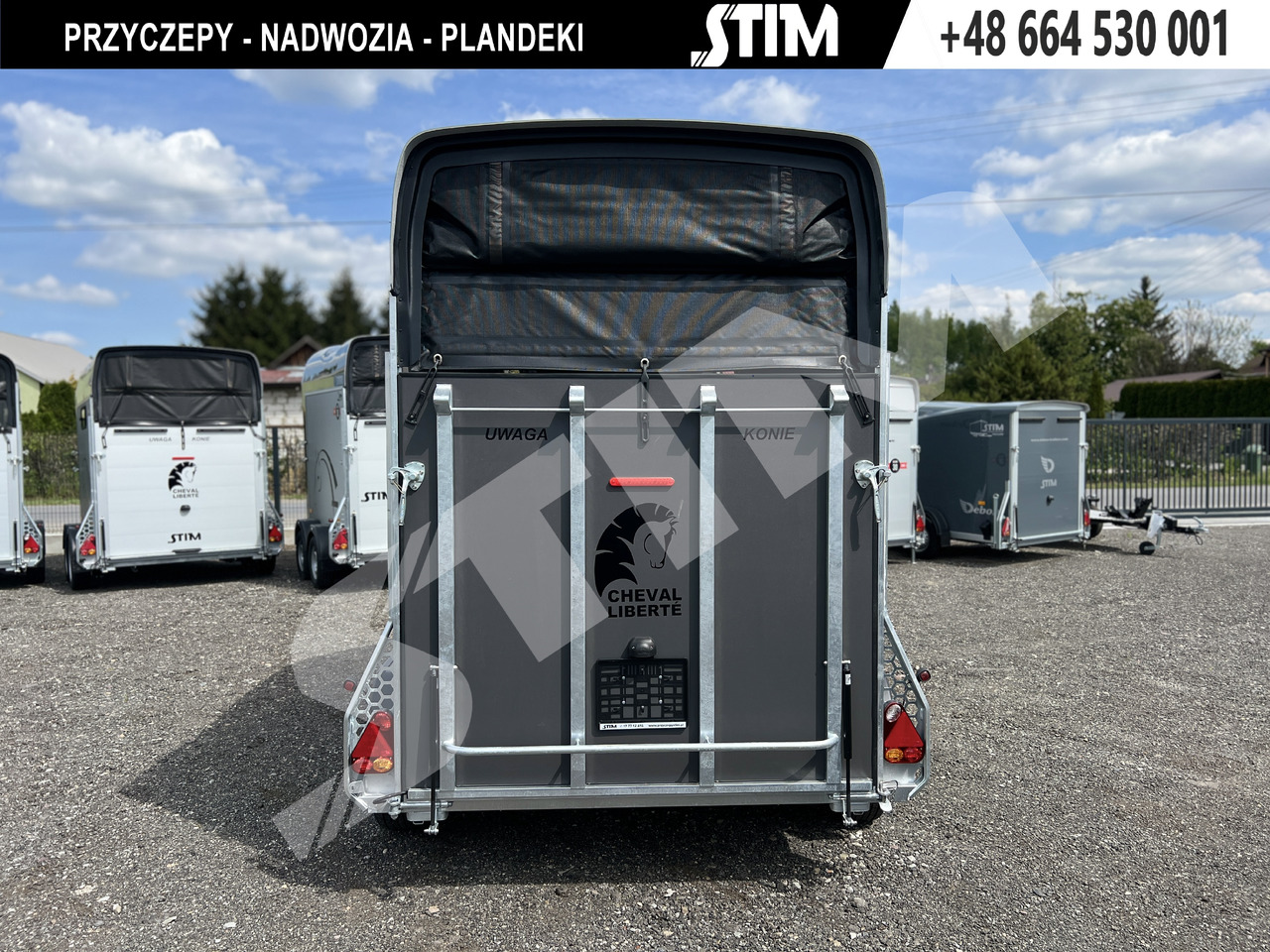 Cheval Liberté GOLD ORIGINS PODŁOGA ALU, BOKI SKLEJKA PPL - Reboque para cavalos: foto 5 Cheval Liberté GOLD ORIGINS PODŁOGA ALU, BOKI SKLEJKA PPL - Reboque para cavalos: foto 5