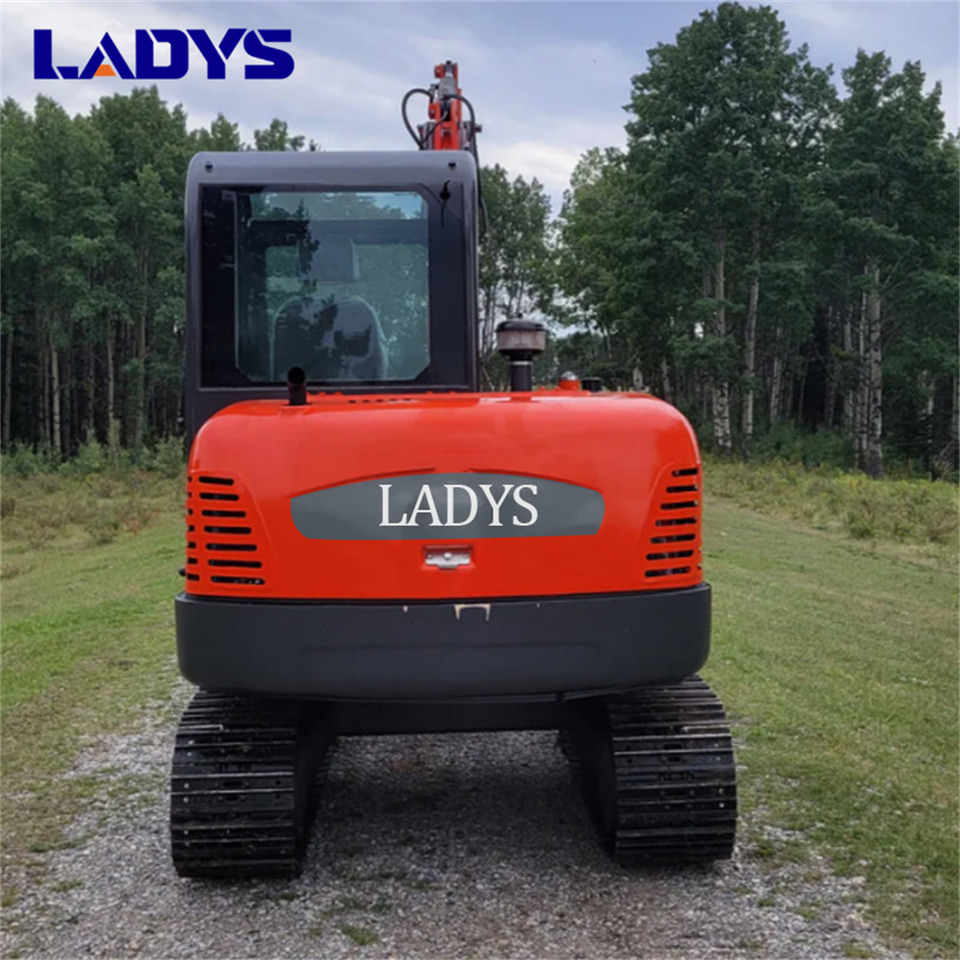 Locação de LADYS DY75C Small Excavator Euro 5/Epa Yanmar Engine Small Excavator Crawler Excavator For Sale LADYS DY75C Small Excavator Euro 5/Epa Yanmar Engine Small Excavator Crawler Excavator For Sale: foto 6