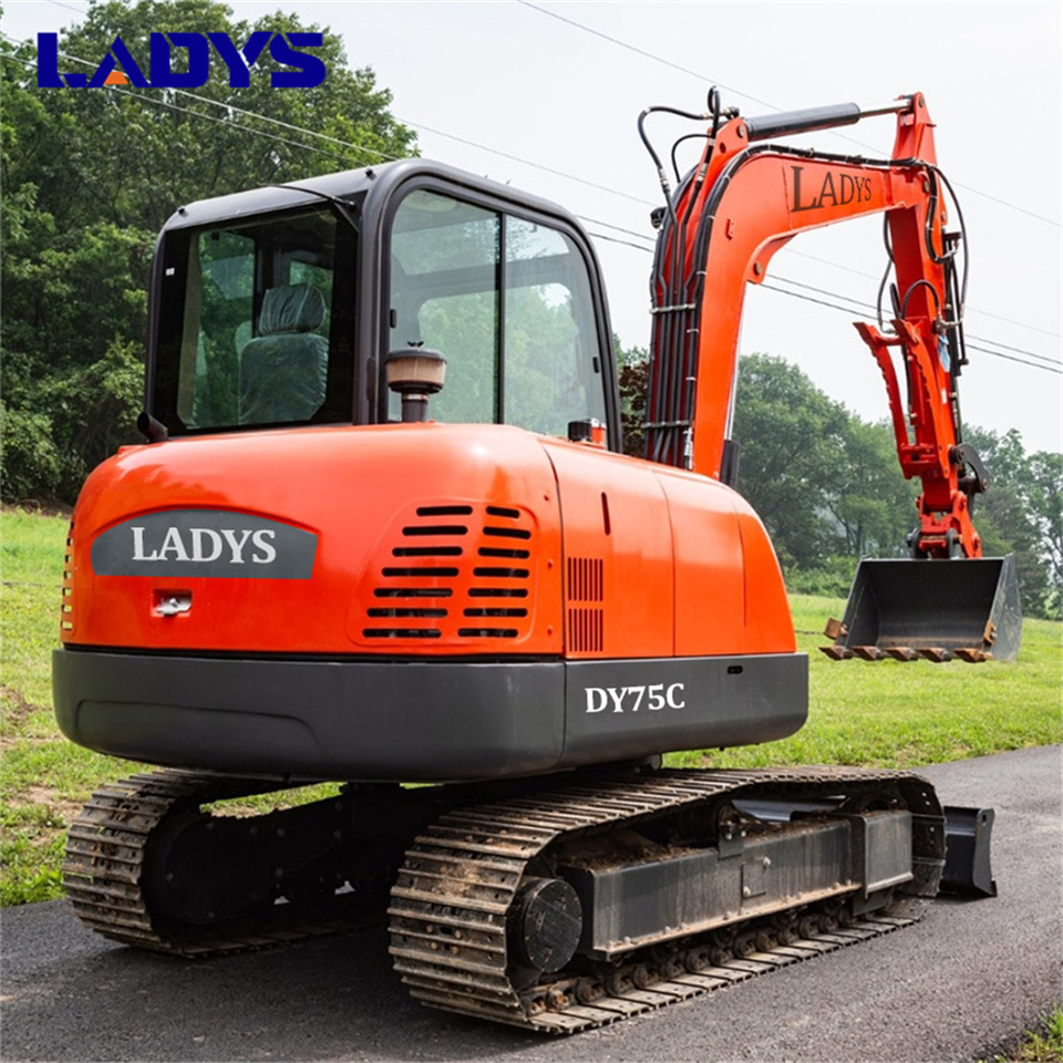 LADYS DY75C Small Excavator Euro 5/Epa Yanmar Engine Small Excavator Crawler Excavator For Sale - Escavadora de rastos: foto 3 LADYS DY75C Small Excavator Euro 5/Epa Yanmar Engine Small Excavator Crawler Excavator For Sale - Escavadora de rastos: foto 3