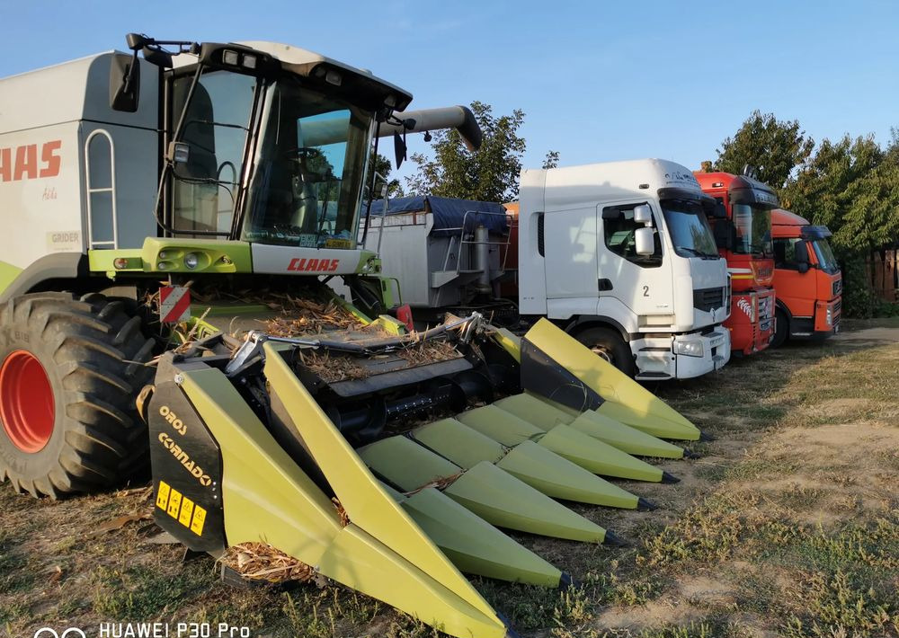 Oros Cornado 6 4+2R Nowa Przystawka do kukurydzy - Plataforma para colher milho: foto 3 Oros Cornado 6 4+2R Nowa Przystawka do kukurydzy - Plataforma para colher milho: foto 3