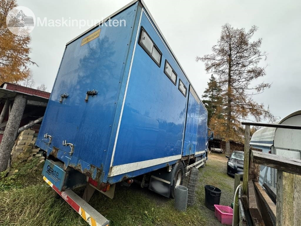 Volvo FH 12 - Caminhão transporte de gado: foto 4 Volvo FH 12 - Caminhão transporte de gado: foto 4