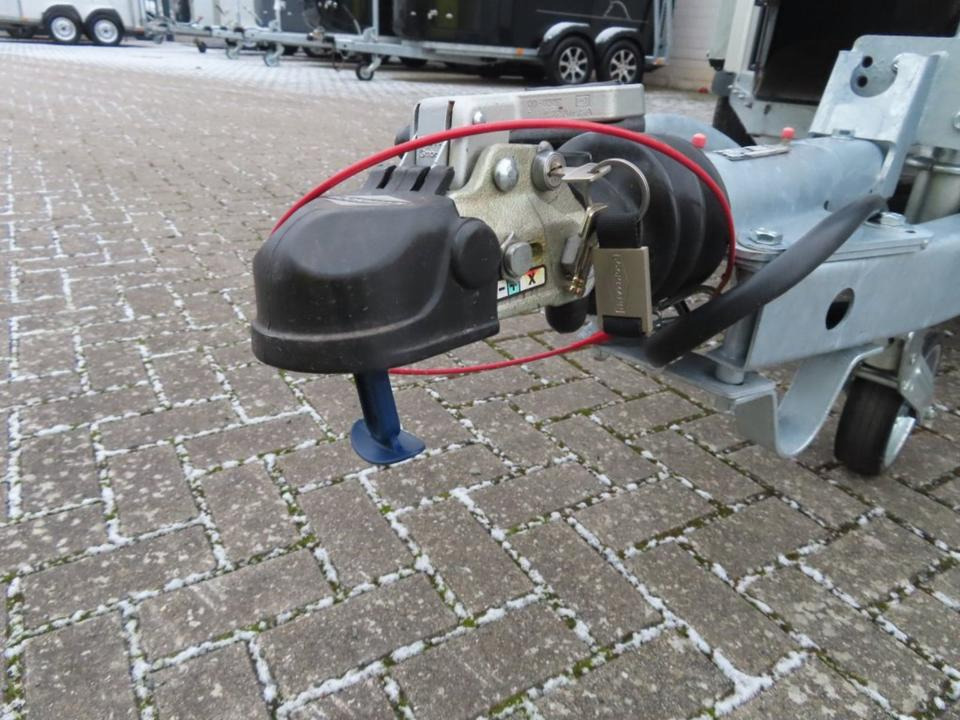 Reboque para cavalos Böckmann Pferdeanhänger Champion R extra Fenster Dachlüfter SaKa.: foto 12