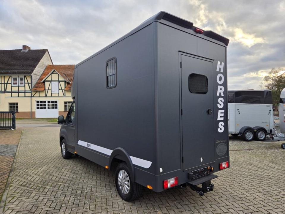 MSG Stablehopper Pferdetransporter Pferdeanhänger Böckmann - Caminhão para transporte de cavalos: foto 4 MSG Stablehopper Pferdetransporter Pferdeanhänger Böckmann - Caminhão para transporte de cavalos: foto 4