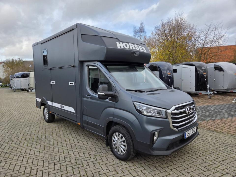 MSG Stablehopper Pferdetransporter Pferdeanhänger Böckmann - Caminhão para transporte de cavalos: foto 5 MSG Stablehopper Pferdetransporter Pferdeanhänger Böckmann - Caminhão para transporte de cavalos: foto 5