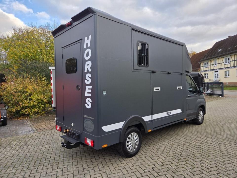 MSG Stablehopper Pferdetransporter Pferdeanhänger Böckmann - Caminhão para transporte de cavalos: foto 3 MSG Stablehopper Pferdetransporter Pferdeanhänger Böckmann - Caminhão para transporte de cavalos: foto 3