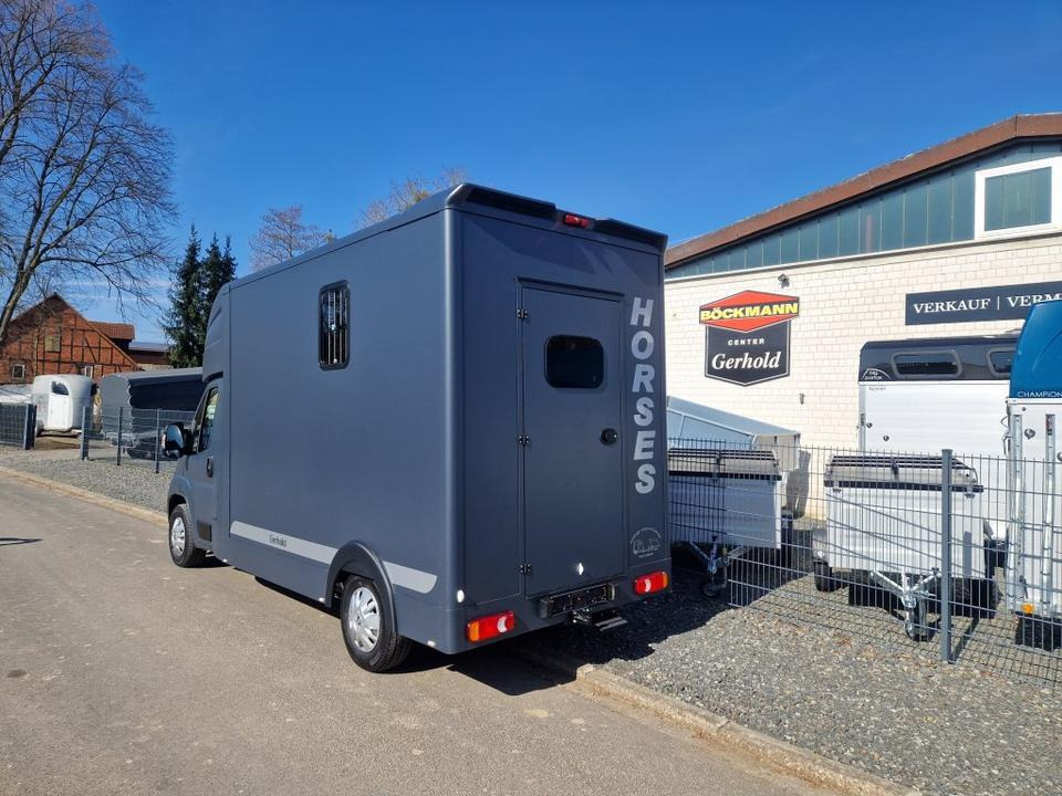 MSG Stablehopper Pferdetransporter Pferdeanhänger Böckmann - Caminhão para transporte de cavalos: foto 4 MSG Stablehopper Pferdetransporter Pferdeanhänger Böckmann - Caminhão para transporte de cavalos: foto 4