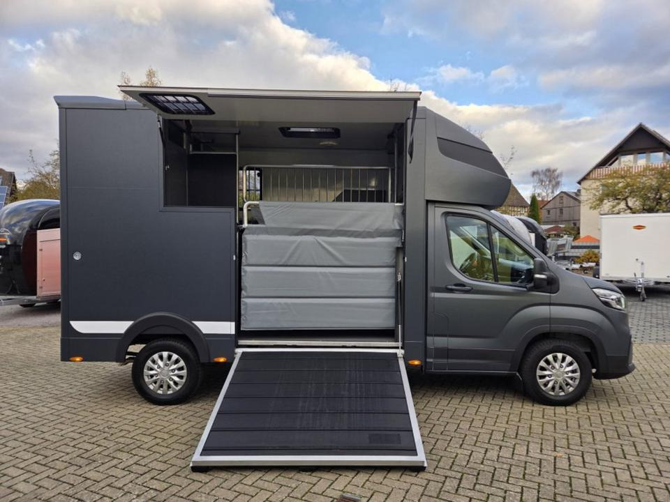 MSG Stablehopper Pferdetransporter Pferdeanhänger Böckmann - Caminhão para transporte de cavalos: foto 5 MSG Stablehopper Pferdetransporter Pferdeanhänger Böckmann - Caminhão para transporte de cavalos: foto 5