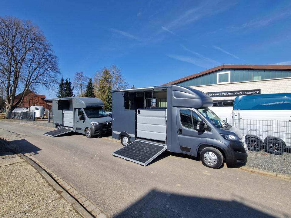 MSG Stablehopper Pferdetransporter Pferdeanhänger Böckmann - Caminhão para transporte de cavalos: foto 1 MSG Stablehopper Pferdetransporter Pferdeanhänger Böckmann - Caminhão para transporte de cavalos: foto 1