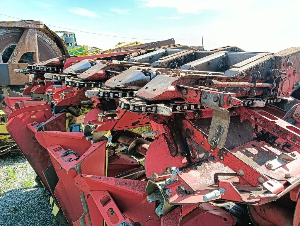 Olimac DRAGO 8 FILE - Equipamento para colheitadeira: foto 2 Olimac DRAGO 8 FILE - Equipamento para colheitadeira: foto 2