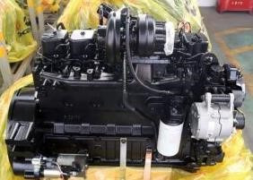 CUMMINS QSL8.9 - Motor de Escavadeira: foto 1 CUMMINS QSL8.9 - Motor de Escavadeira: foto 1