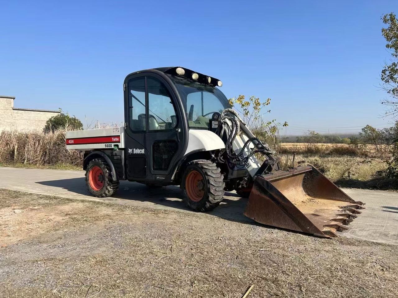 BOBCAT Bobcat 5600 - Mini carregadeira: foto 3 BOBCAT Bobcat 5600 - Mini carregadeira: foto 3