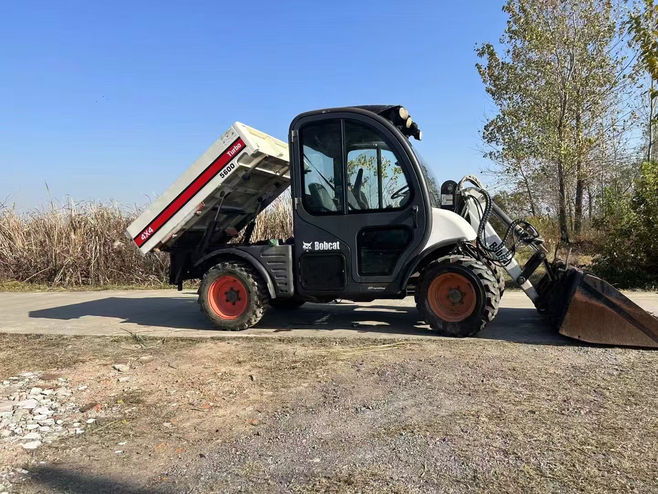 BOBCAT Bobcat 5600 - Mini carregadeira: foto 1 BOBCAT Bobcat 5600 - Mini carregadeira: foto 1