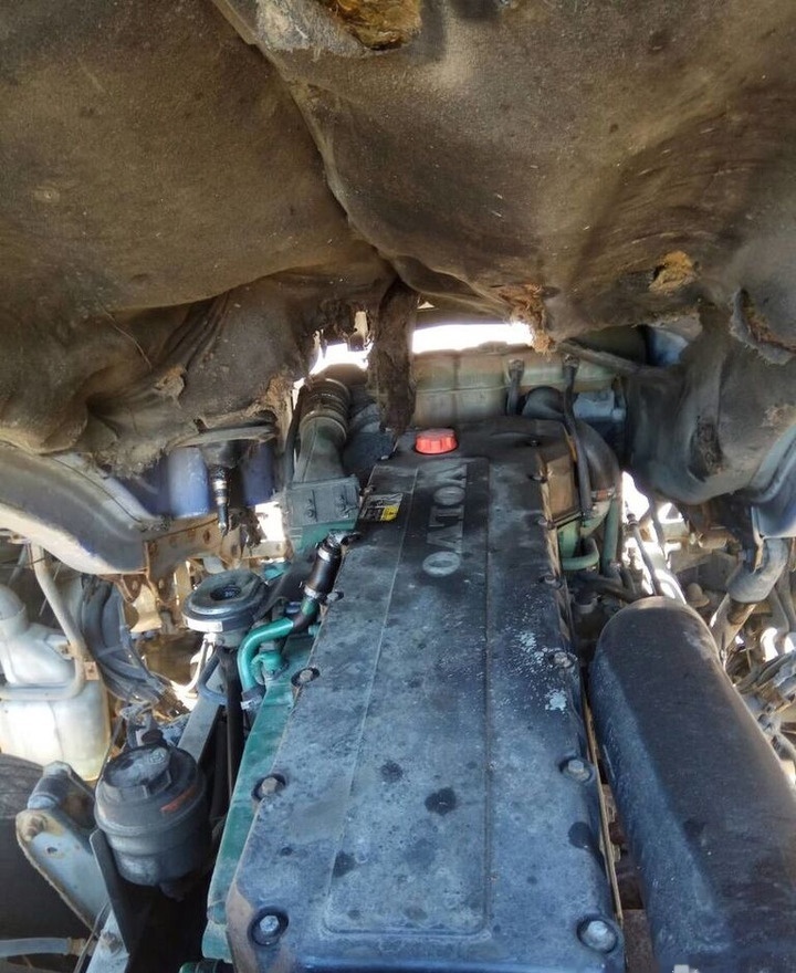 Volvo D12C 460 E3   Volvo FH 12 - Motor de Caminhão: foto 1 Volvo D12C 460 E3   Volvo FH 12 - Motor de Caminhão: foto 1