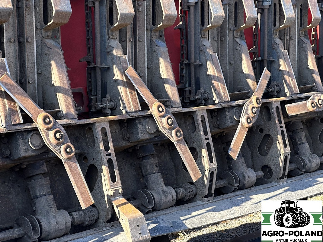 OLIMAC DRAGO 2 - S 8 TR - 8X70 - 2017 ROK - Plataforma para colher milho: foto 5 OLIMAC DRAGO 2 - S 8 TR - 8X70 - 2017 ROK - Plataforma para colher milho: foto 5