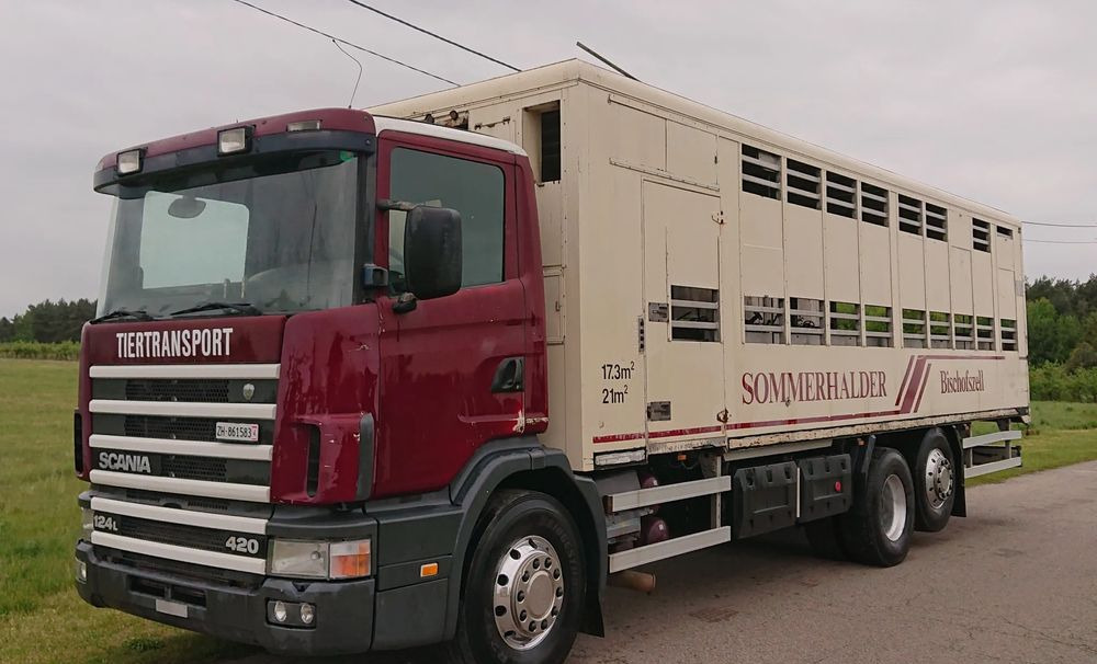 Scania 124 420 Do żywca - Caminhão transporte de gado: foto 1 Scania 124 420 Do żywca - Caminhão transporte de gado: foto 1
