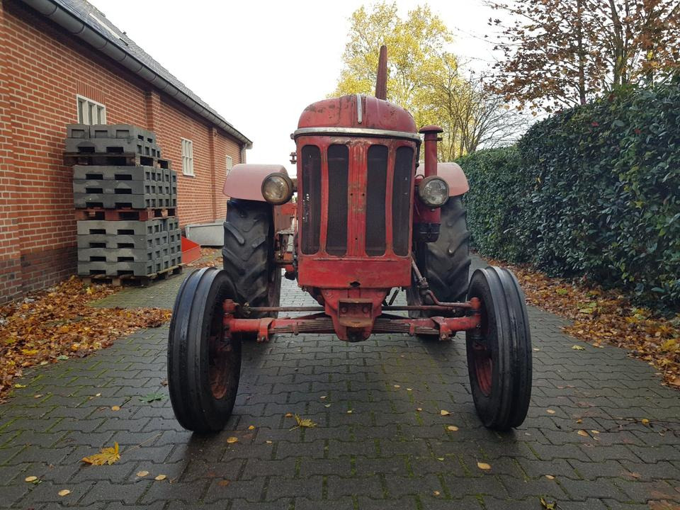 Oldtimer Hanomag R425 - Trator: foto 5 Oldtimer Hanomag R425 - Trator: foto 5