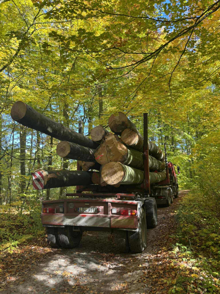 DAF CF510 - Caminhão florestal, Caminhão grua: foto 3 DAF CF510 - Caminhão florestal, Caminhão grua: foto 3