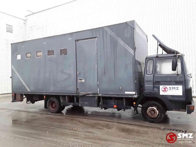 Iveco Magirus 80 16 horse truck - Caminhão transporte de gado: foto 4 Iveco Magirus 80 16 horse truck - Caminhão transporte de gado: foto 4