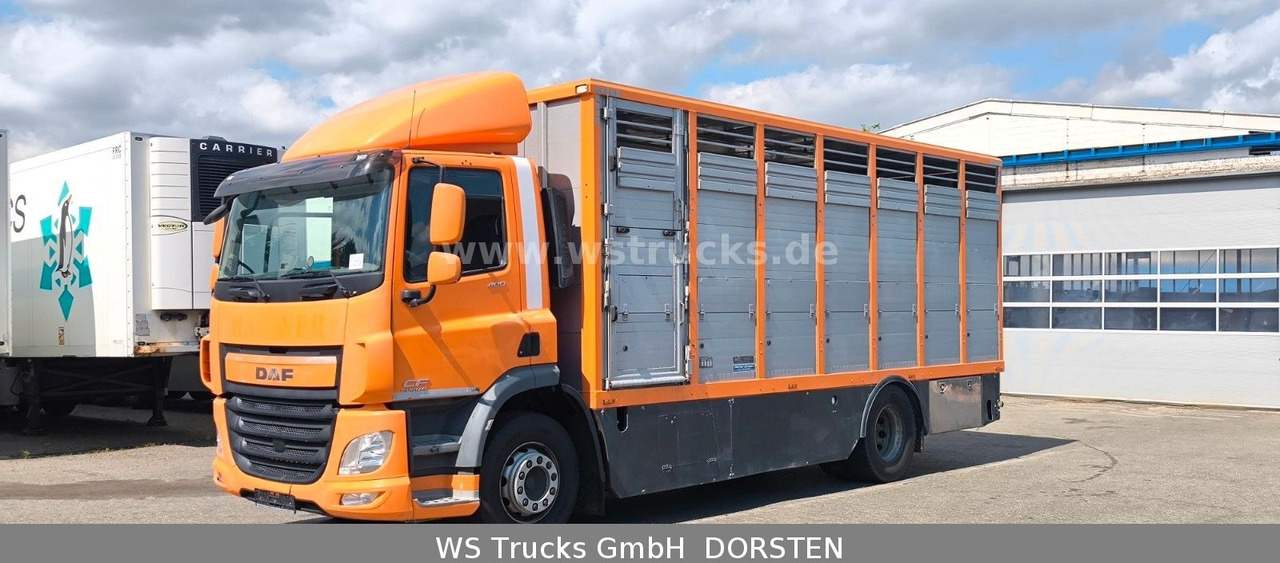 DAF CF 400 Menke Einstock - Caminhão para transporte de cavalos: foto 3 DAF CF 400 Menke Einstock - Caminhão para transporte de cavalos: foto 3