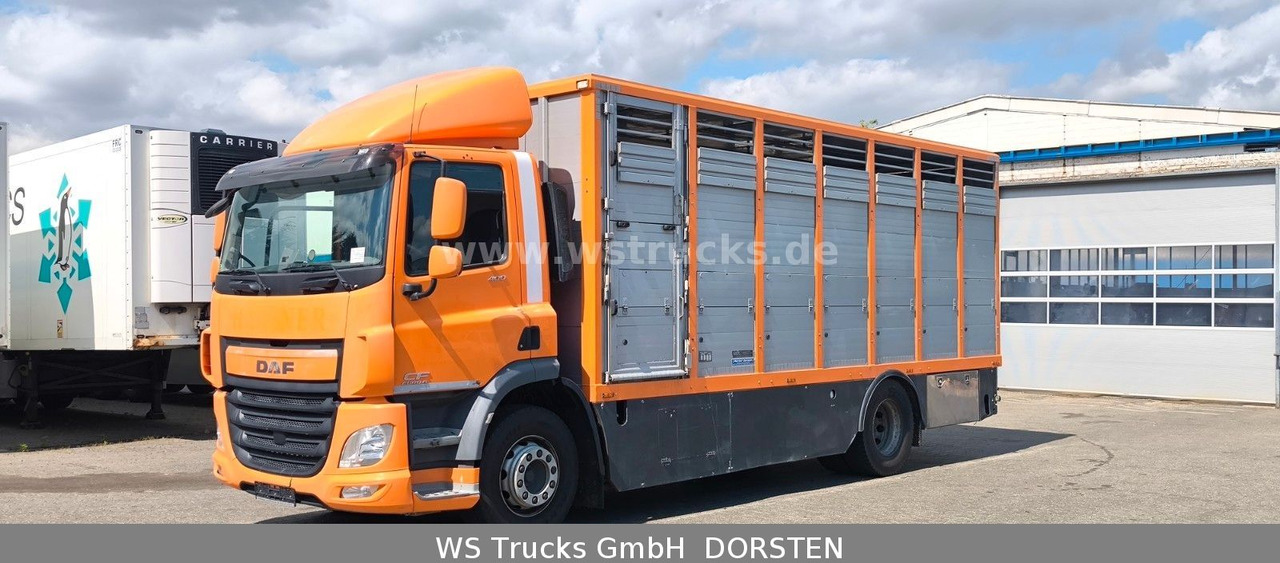 DAF CF 400 Menke Einstock - Caminhão para transporte de cavalos: foto 2 DAF CF 400 Menke Einstock - Caminhão para transporte de cavalos: foto 2