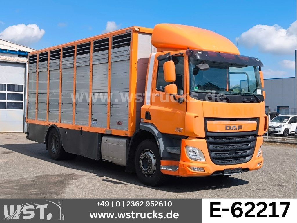 DAF CF 400 Menke Einstock - Caminhão para transporte de cavalos: foto 1 DAF CF 400 Menke Einstock - Caminhão para transporte de cavalos: foto 1
