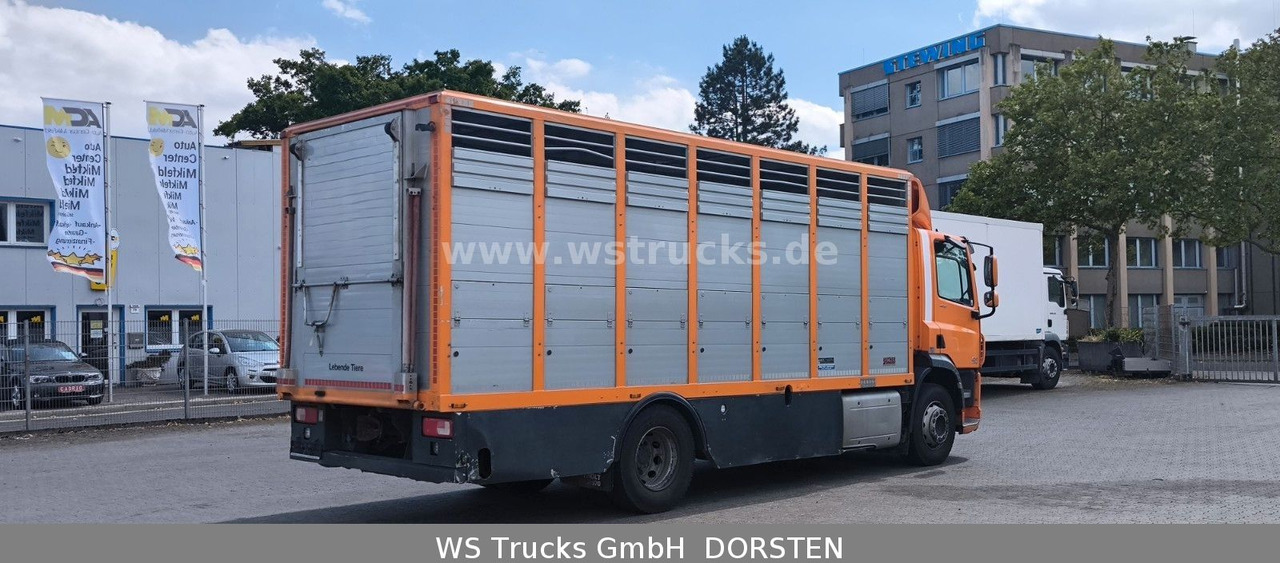 DAF CF 400 Menke Einstock - Caminhão para transporte de cavalos: foto 5 DAF CF 400 Menke Einstock - Caminhão para transporte de cavalos: foto 5