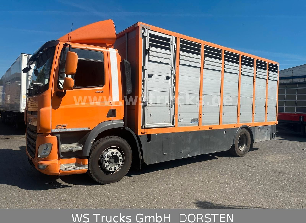 DAF CF 400 Menke Einstock - Caminhão para transporte de cavalos: foto 4 DAF CF 400 Menke Einstock - Caminhão para transporte de cavalos: foto 4