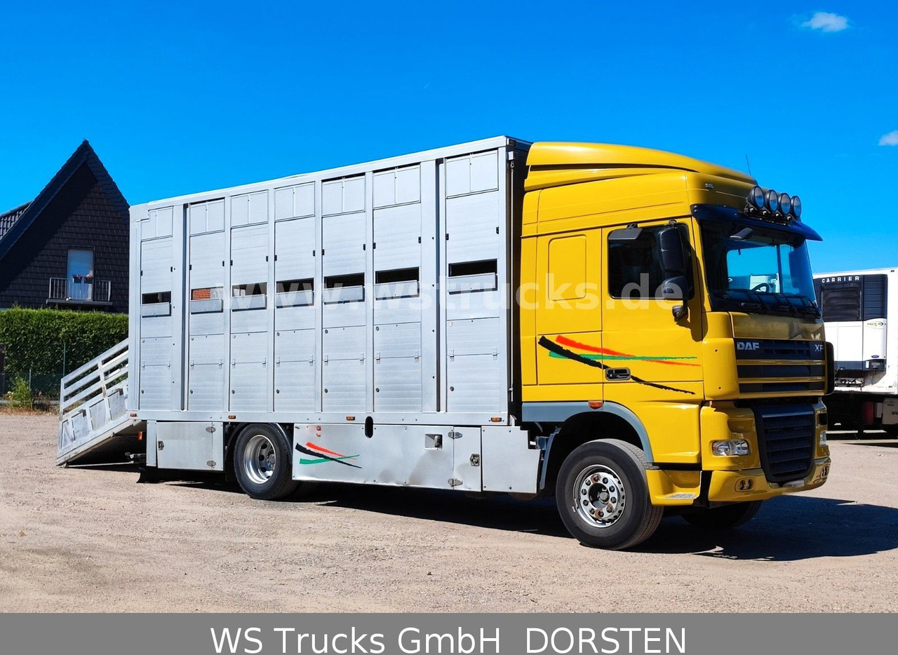 DAF XF 410 SC Menke Doppelstock - Caminhão para transporte de cavalos: foto 5 DAF XF 410 SC Menke Doppelstock - Caminhão para transporte de cavalos: foto 5