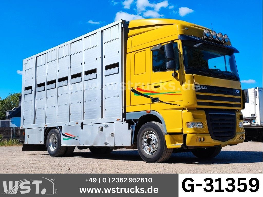 DAF XF 410 SC Menke Doppelstock - Caminhão para transporte de cavalos: foto 1 DAF XF 410 SC Menke Doppelstock - Caminhão para transporte de cavalos: foto 1